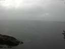 ./images/koeye/fitz-hugh/20160830/fitz-hugh20160830_180002.jpg