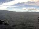 ./images/koeye/fitz-hugh/20160902/fitz-hugh20160902_121502.jpg