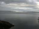 ./images/koeye/fitz-hugh/20160903/fitz-hugh20160903_080002.jpg