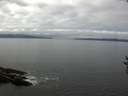 ./images/koeye/fitz-hugh/20160904/fitz-hugh20160904_121803.jpg