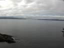 ./images/koeye/fitz-hugh/20160904/fitz-hugh20160904_122102.jpg