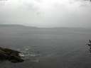 ./images/koeye/fitz-hugh/20160905/fitz-hugh20160905_120003.jpg