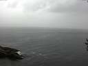 ./images/koeye/fitz-hugh/20160905/fitz-hugh20160905_121802.jpg