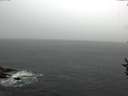 ./images/koeye/fitz-hugh/20160905/fitz-hugh20160905_140003.jpg