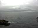 ./images/koeye/fitz-hugh/20160906/fitz-hugh20160906_121803.jpg