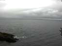 ./images/koeye/fitz-hugh/20160906/fitz-hugh20160906_122102.jpg