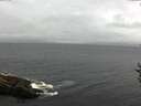 ./images/koeye/fitz-hugh/20160907/fitz-hugh20160907_100003.jpg