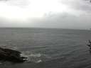 ./images/koeye/fitz-hugh/20160907/fitz-hugh20160907_120002.jpg