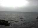 ./images/koeye/fitz-hugh/20160907/fitz-hugh20160907_121803.jpg