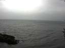 ./images/koeye/fitz-hugh/20160907/fitz-hugh20160907_122103.jpg