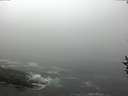 ./images/koeye/fitz-hugh/20160908/fitz-hugh20160908_100002.jpg