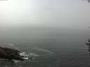 ./images/koeye/fitz-hugh/20160908/fitz-hugh20160908_121802.jpg
