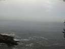 ./images/koeye/fitz-hugh/20160908/fitz-hugh20160908_122702.jpg