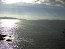 ./images/koeye/fitz-hugh/20160908/fitz-hugh20160908_160003.jpg