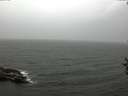 ./images/koeye/fitz-hugh/20160909/fitz-hugh20160909_160003.jpg