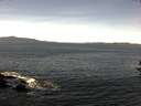 ./images/koeye/fitz-hugh/20160912/fitz-hugh20160912_121502.jpg