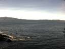 ./images/koeye/fitz-hugh/20160912/fitz-hugh20160912_121802.jpg
