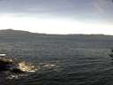 ./images/koeye/fitz-hugh/20160912/fitz-hugh20160912_122401.jpg