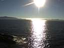 ./images/koeye/fitz-hugh/20160912/fitz-hugh20160912_180002.jpg