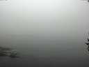 ./images/koeye/fitz-hugh/20160913/fitz-hugh20160913_100001.jpg