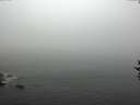 ./images/koeye/fitz-hugh/20160913/fitz-hugh20160913_120001.jpg