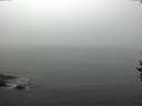 ./images/koeye/fitz-hugh/20160913/fitz-hugh20160913_121501.jpg