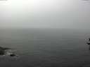 ./images/koeye/fitz-hugh/20160913/fitz-hugh20160913_121802.jpg