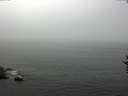 ./images/koeye/fitz-hugh/20160913/fitz-hugh20160913_122101.jpg