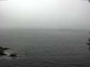 ./images/koeye/fitz-hugh/20160913/fitz-hugh20160913_122402.jpg