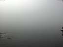 ./images/koeye/fitz-hugh/20160914/fitz-hugh20160914_120001.jpg