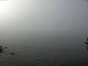 ./images/koeye/fitz-hugh/20160914/fitz-hugh20160914_121802.jpg