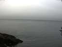 ./images/koeye/fitz-hugh/20160915/fitz-hugh20160915_080003.jpg