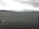./images/koeye/fitz-hugh/20160915/fitz-hugh20160915_122401.jpg