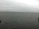 ./images/koeye/fitz-hugh/20160916/fitz-hugh20160916_120001.jpg
