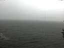 ./images/koeye/fitz-hugh/20160916/fitz-hugh20160916_122401.jpg