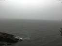 ./images/koeye/fitz-hugh/20160916/fitz-hugh20160916_180002.jpg