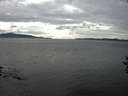 ./images/koeye/fitz-hugh/20160917/fitz-hugh20160917_160002.jpg