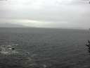 ./images/koeye/fitz-hugh/20160918/fitz-hugh20160918_160004.jpg