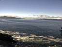 ./images/koeye/fitz-hugh/20160920/fitz-hugh20160920_122102.jpg