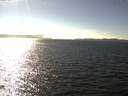 ./images/koeye/fitz-hugh/20160920/fitz-hugh20160920_160003.jpg