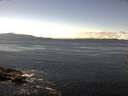 ./images/koeye/fitz-hugh/20160921/fitz-hugh20160921_140002.jpg