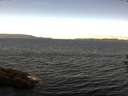 ./images/koeye/fitz-hugh/20160922/fitz-hugh20160922_122402.jpg
