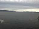 ./images/koeye/fitz-hugh/20160922/fitz-hugh20160922_180003.jpg