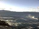 ./images/koeye/fitz-hugh/20160923/fitz-hugh20160923_122101.jpg