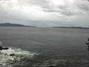 ./images/koeye/fitz-hugh/20160924/fitz-hugh20160924_080001.jpg
