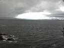 ./images/koeye/fitz-hugh/20160925/fitz-hugh20160925_120003.jpg