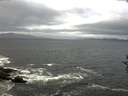 ./images/koeye/fitz-hugh/20160925/fitz-hugh20160925_122403.jpg