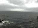 ./images/koeye/fitz-hugh/20160926/fitz-hugh20160926_121801.jpg