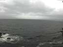 ./images/koeye/fitz-hugh/20160926/fitz-hugh20160926_122101.jpg
