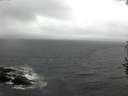 ./images/koeye/fitz-hugh/20160926/fitz-hugh20160926_140003.jpg